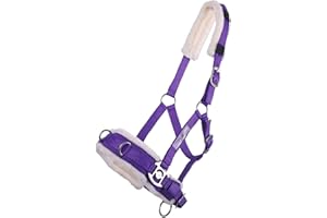 ‎ARBO-INOX ARBO-INOX® -Kappzaum - Halfter - Nylonhalfter - 6 Farben und 4 Grössen (lila, Shetty)