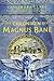 Die Chroniken des Magnus Bane by Cassandra Clare, Maureen Johnson