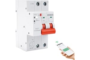 DEWINLVD Interruttore magnetotermico differenziale wifi salvavita Interruttore temporizzato contatore elettrico 63A 2P tuya controllo recovery reclosing Protezione da sottotensione sovraccarico.