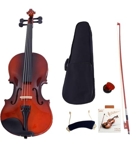 Carlo Giordano VS134-3/4 Violin : Amazon.co.uk: Musical