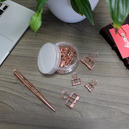 Creoly Paquete de doce clips para carpetas  Oro Rosa 