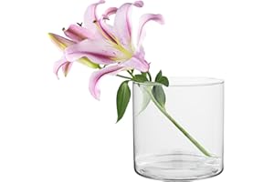 TREND FOR HOME Vase Decoratif 19 cm Porte Bougie Grand Conteneur de Verre Décoration Mariage Bougeoir Verre Récipient Haut pour Bougies Flottantes Pilier Votif Transparent | Ø 19 cm | 4848 ML | Naida