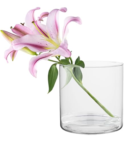 INNA-Glas Zylinder Windlicht Glas Sanny Aus Glas, Klar, 19cm - View #8