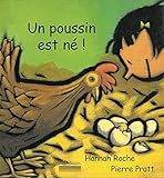 Un poussin est né !
