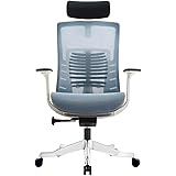 krisskross Sierra Ergonomic Office Chair Computer Mesh Seat Chair with Adjustable Back Support, Sliding Seat, Headrest, 3D Ar