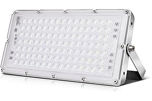 Viugreum 100W Outdoor LED Floodlight, IP66 Waterproof Spotlight Security Light, Super Bright 8000lm Worklight Wall Light for Yard, Garden, Garage, Hallway,6500K Cold White [Energy Class A++]