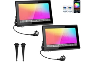 Projecteur RGB LED Extérieur 30W T-SUN Projecteur LED avec Application et Télécommande Lampe Changeant de Couleur Étanche IP66 Minuterie et Mémoire Spots Extérieurs pour Jardin, Terrasse, Noël, Fêtes