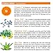 Vitamin C Serum for Face with 20% Vitamin C and Hyaluronic Acid By Derma-nu - Organic Skin Treatment to Repair Sun Damage and Reduce Wrinkles - 1.25oz