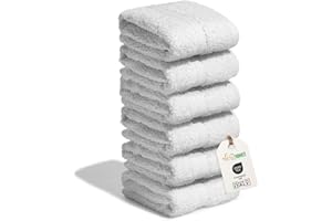 nice homeit - Set 6 Lavette 30x30 cm – Mini Asciugamani viso e ospiti 100% cotone ad anello – Morbide, Assorbenti, Lavabili – Per Bagno, Cucina, Trucco e Viaggio – Made in Italy (Bianco)
