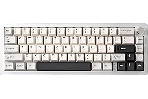 YUNZII AL66 Wireless Mechanical Keyboard,65% Knob Control Aluminum Gaming Keyboard Bluetooth/2.4G/Wired Hot-Swap Pre-lubed Switches,Gasket Mounted RGB Keyboard for Win/Mac（Milk Switch, Silver）