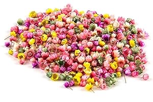 HFINGAQEX 1/2 g de flores secas reales de estrella pequeña para bricolaje, resina epoxi, joyería, relleno, decoración de manualidades, molde de resina