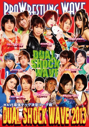 Preisvergleich Produktbild PRO WRESTLING WAVE DUAL SHOCK WAVE 2013 [DVD]