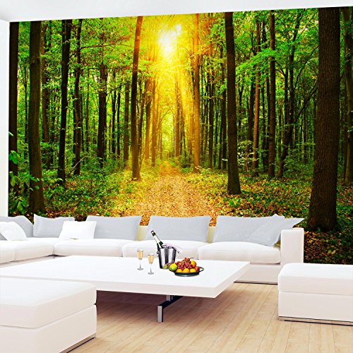 Fototapete Wald 352 x 250 cm – Vliestapete – Wandtapete – Vlies Phototapete – Wand – Wandbilder XXL – !!! 100% MADE IN GERMANY !!! Runa Tapete 9120011a - 4