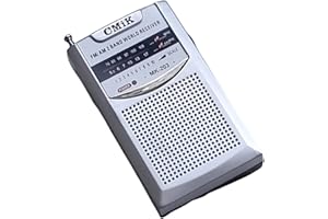 Raypow Tragbares Radio, Transistorradios am FM, tragbare Tasche, funktioniert mit 2 AA-Batterien, kleines Taschenradio, FM-Radio, starker Lautsprecher, Verwendung im Innen- und Außenbereich (Silber)
