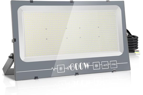 Royana 600W Projecteur Extérieur, 60000LM Spot LED 6000K Blanc Froid IP66 Imperméable, Floodlight de Sécurité pour Jardin, Cour, Terrasse, Square, Usine
