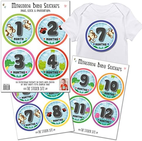Monthly Baby Stickers