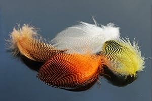 Tigofly 40 pezzi/lotto 4 colori naturali barrato germano reale anatra fianco piume d'oca selvatica capelli ali volare legatura materiali (assortiti)