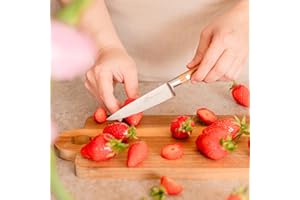 LION SABATIER 831085 Provençao Couteau d'Office Droit 10 cm, Marron