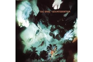 Disintegration
