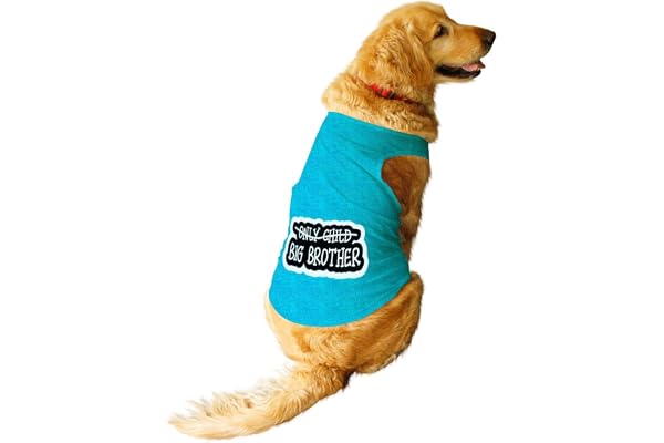 Ruse Pet Big Brother Printed Dog Round Neck Sleeveless Vest Tank T-Shirt/Tees Apparel/Clothes/Tees Gift for Dogs(Steel Blue/XL)