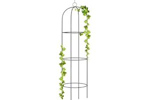 wuuhoo® I Rampicante Alma come obelisco in metallo 190cm per il giardino e la terrazza I colonna per piante rampicanti I Rampicante resistente alle intemperie in metallo verniciato singolo
