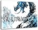 Produktbild guild wars Format 100x70 cm Bild auf Leinwand, XXL riesige Bilder fertig gerahmt mit Keilrahmen, Kunstdruck auf Wandbild mit Rahmen