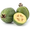 Fresh Feijoa/Pineapple Guava 1 kg