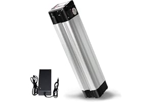 ZUIRUNDA Avec chargeur 24 V 12 Ah - Batterie Li-Ion - Pour vélo électrique Phylion, MiFa, Rex, Prophete (24 V 12 Ah)
