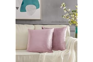GIGIZAZA Cojín Terciopelo Funda de Cojine 45x45 cm Funda de Almohada del Sofá Cojín Decoración Almohada Caso de la Cubierta Decorativo 2 Paquetes Sonrojo Rosado