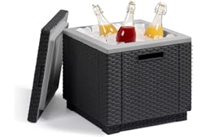 ALLIBERT Nevera Ice Cube | Color Grafito | 42 x 42 x 41 cms | Ref. 213828