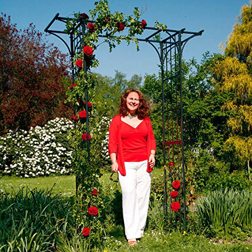 Rosenbogen Elegant Parc