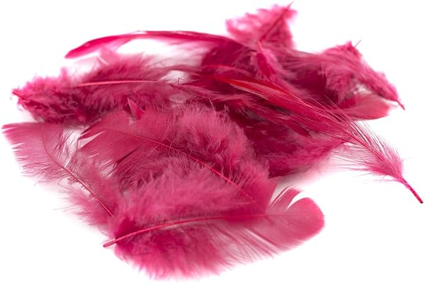 Plumes décoratives - 5 g - 5 à 10 cm - Plumes de poule, marabout - Plumes de parure Weinrot / Bordeaux 270