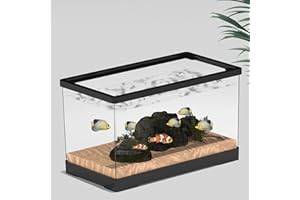 TEMU-SC Boîte à Nourrir en pour Reptiles, Ensemble de récipient en Acrylique d'insecte, Habitat Portable pour Reptiles et Amphibiens, adapté aux araignées, lézards, Grenouilles(30.5 * 16.3 * 18cm)