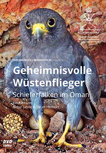 Preisvergleich Produktbild Geheimnisvolle Wüstenflieger - Schieferfalken im Oman
