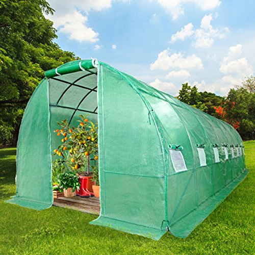 Preisvergleich Produktbild BRAST Gewächshaus mit rostfreiem Stahlfundament 300x800cm 24m² Garten Tomaten Pflanzen-Haus Treibhaus Foliengewächshaus