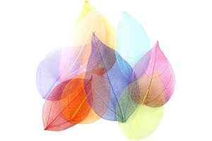 FSSTUD, 100 foglie di scheletro a foglie secche, decorazioni per scrapbooking