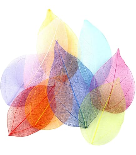 50 Natural Real Skeleton Leaves 2-3inches NOT BRITTLE Craft Card Wedding Art EBa