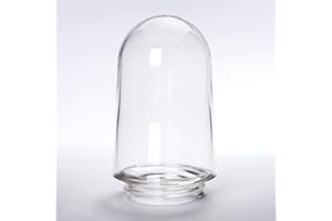 ORION LIGHTSTYLE Abat-jour en Verre de Rechange, Structure Filetée, Extérieur, Filetage de 84,5 mm, 60 W, Diamètre de 100 mm, Transparent
