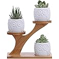 BESTTOYHOME 3pcs Owl Succulent Pots with 3 Tier Bamboo Saucers Stand Holder - White Modern Decorative Ceramic Flower Planter Plant Pot with Drainage