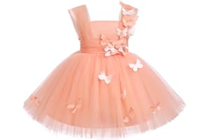 IDOPIP Bambin Fille Fleur Robe Enfant bébé a - Ligne Genou Papillon Dentelle Fleur brodée Princesse 1er Anniversaire fête sans Manches Tutu Robe