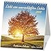 Licht vom unerschöpften Lichte 2020: Postkarten-Kalender mit Farbfotos und christlichen Texten by 