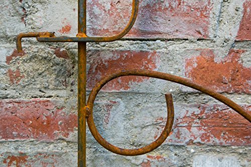 Beetzaun Metall Steckzaun Rost B: 70cm H: 130cm verlängerbar Metallzaun Zaun - 6