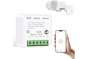 AXFEE Interruptor Inteligente Wifi, Interruptor WiFi Inteligente Bricolaje de 2 Vías, Interruptor WiFi Inteligente Programable 2.4GHz, Compatible con Alexa y Google Home, 10A 2400W