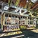 Produktbild Eurographics DG-DC1194 Abandoned Factory Glasbild, Glas, bunt, 80 x 80 x 2 cm