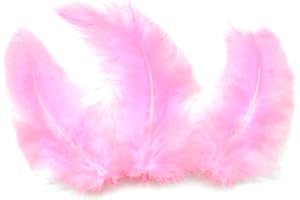 Sachet de 20 plumes 10 cm