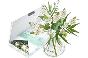 BloomPost White Wonder Flowers - Boîte aux Lettres - Fleurs fraîches livrées - Bouquet Parfait pour Les Anniversaires et Les Cadeaux de Remerciement - Livraison Gratuite - 32 cm