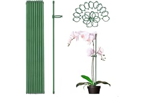 MEEYUU 20Pcs Plant Stakes Green Garden Single Stem Plant Support Stakes, Plant Support Sticks with Rings for Indoor and Outdoor Plants,Flowers,Tomatoes (40cm)