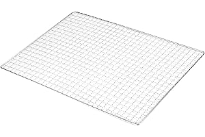 DASNTERED Siatka węglowa do grilla, narzędzia do grillowania, ruszt do grillowania ze stali nierdzewnej, 25 x 40 cm, 30 x 45 cm, 38 x 50 cm, do zagłębienia w ogrodzie, grill na zewnątrz