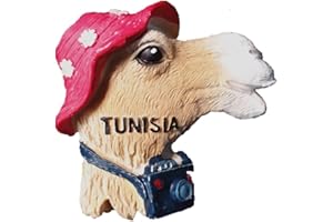 MUYU MAGNET Aimant de réfrigérateur 3D Tunisie Afrique souvenir touristique cadeau et collection Décoration de maison et de cuisine Autocollant magnétique Tunisie Aimant de réfrigérateur