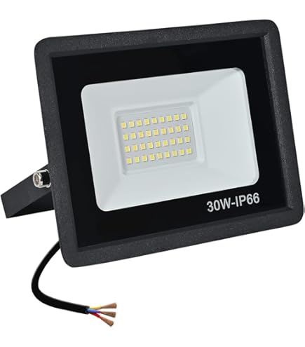 Blivrig 100 W led-spot voor buiten, koudwit, 6500 K, 10.000 lm, led-spot voor buiten, IP66, waterdicht, ledverlichting, voor terras, patio, paden, stadions, fabrieken, parkeerplaats, garage, tuin